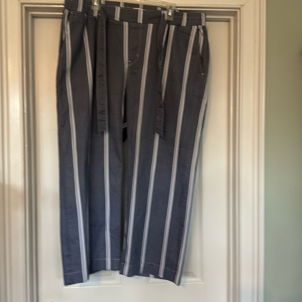 Signature by Levi Strauss Women's Straight Leg Denim colored stripe pants 18 W